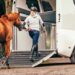 WAP Horsetrailer